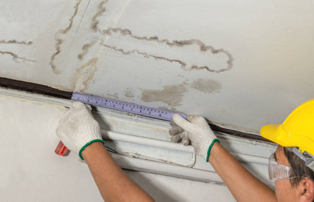 Reliable Structural Drying contractor in Roy, WA by Water Damage Irwin
